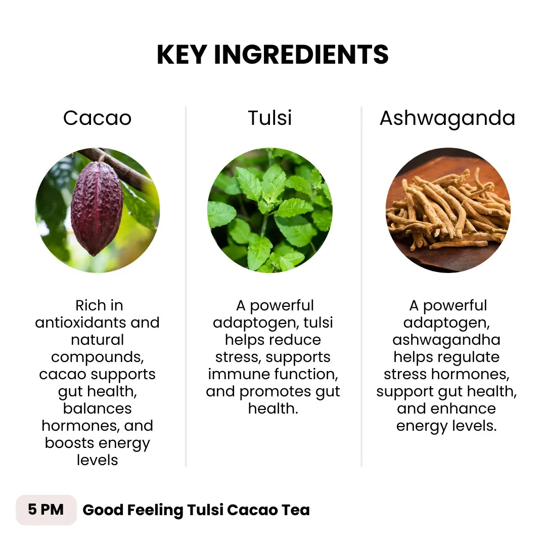 5 PM Good Feeling Tulsi Tea Joulebody