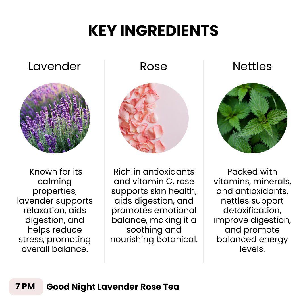 7 PM Good Night Lavender Rose Tea