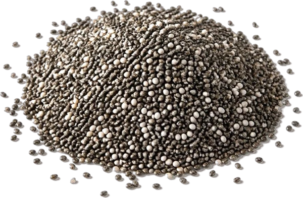 A pile of chia seeds